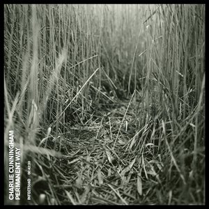 裤子丁丁男裸体网站
