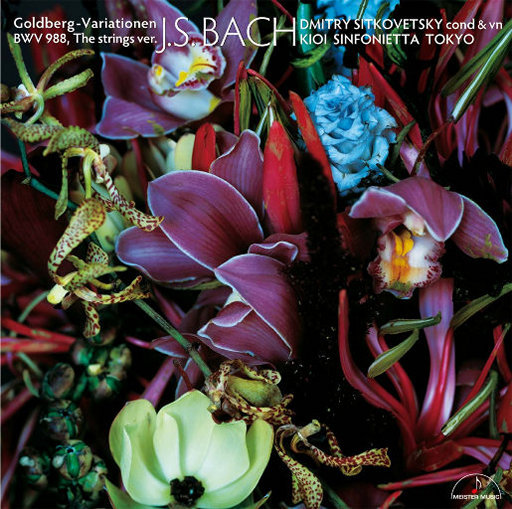 裤子丁丁男裸体网站
